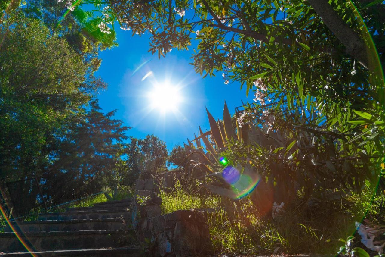 Giardino Sul Mare House - Levanto Sea View Exteriér fotografie
